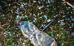 verrottende Plastikflasche auf Rasenfläche